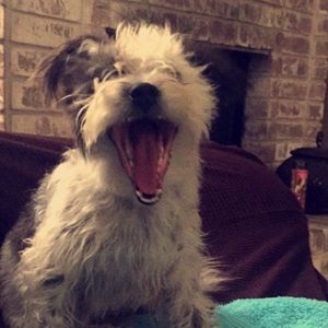 Meet your Posher, Ricardo